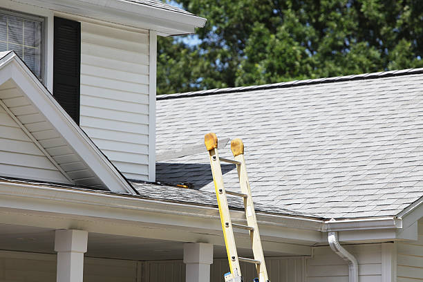 Best Engineered Wood Siding  in Boaz, AL