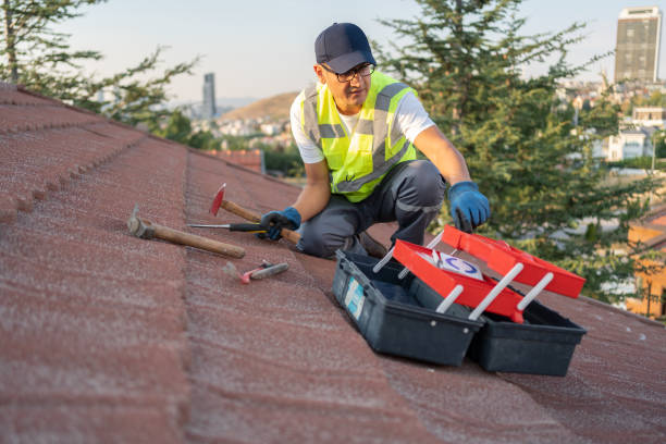 Affordable siding repair and maintenance services in Boaz, AL
