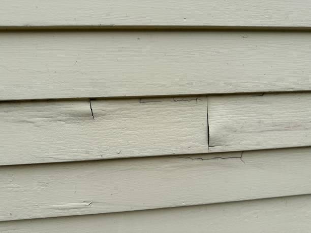 Best Stucco Siding  in Boaz, AL
